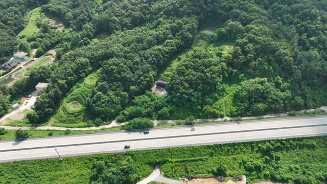 Quiet Highway Between Lush Greenery