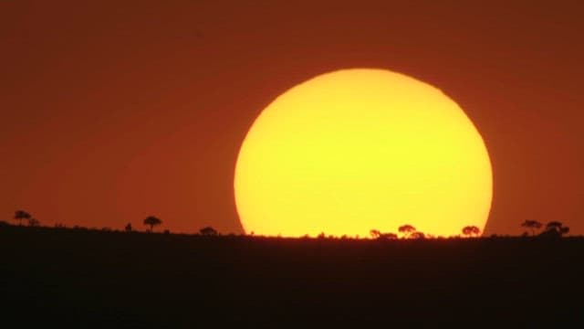 Majestic Sunset Behind Silhouetted Trees