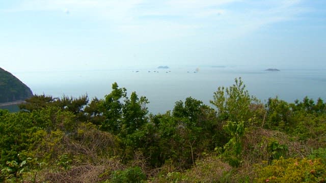 Boats Floating on the Sea Near the Island