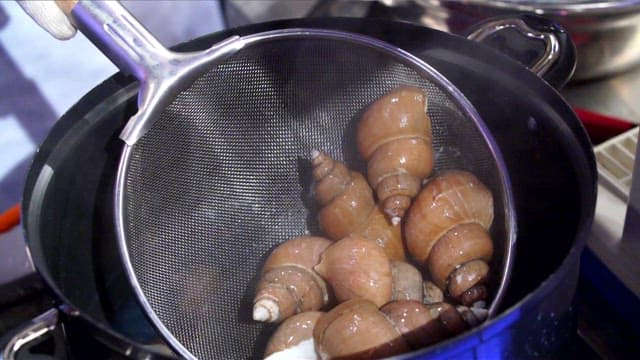 Taking out boiled sea snails with a sieve