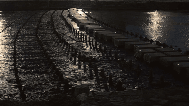 River with stepping stones at night