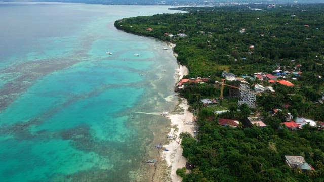 Coastal village with lush greenery