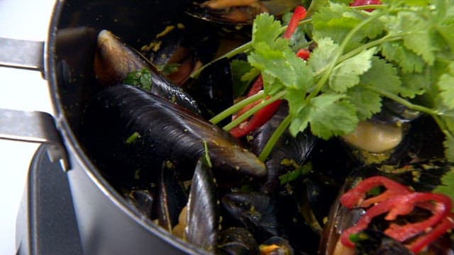Mussels with coriander in a pot