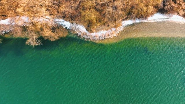 Cityscape Seen beyond the Brimming River and Trees