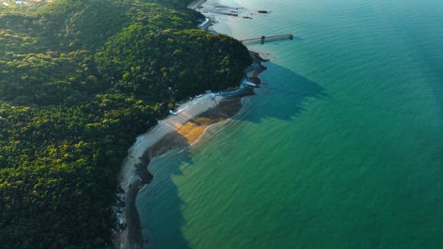 Aerial view of a serene beach with lush greenery