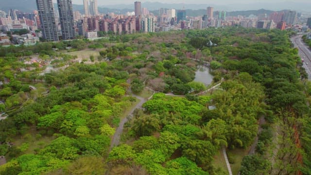 City skyline with lush green park