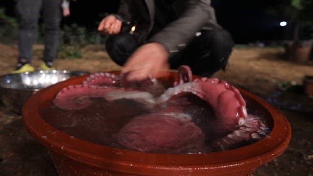 Cutting Octopus Soaked in a Rubber Basin