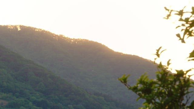 Mountain range during sunset with vivid greenery