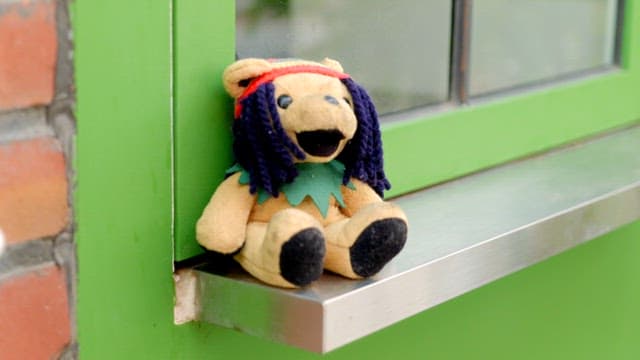 Stuffed toy bear on a green windowsill