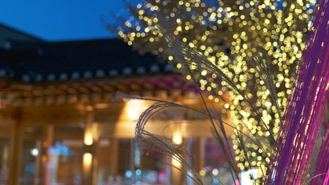 Reeds swaying in the wind against the backdrop of hanok and colorful lights