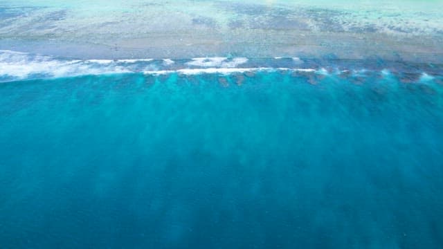 Sea Full of Coral Islands and Coastal Cityscape
