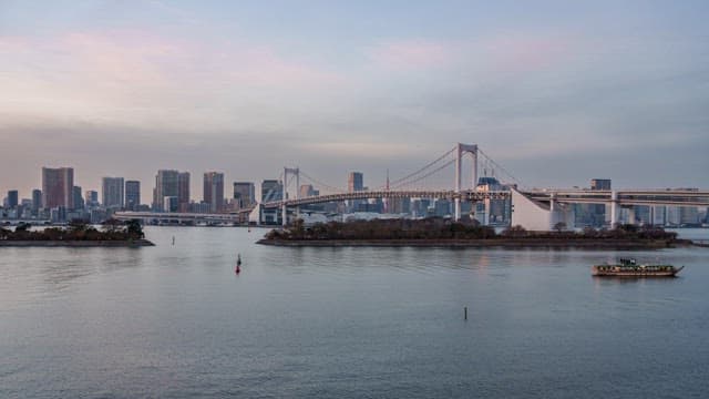 City skyline with illuminated bridge
