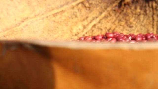 Hand Lifting Red Beans in a Bowl