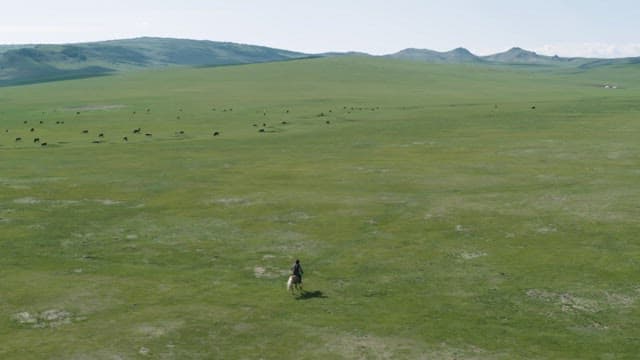 Lone Horse Rider in Expansive Green Landscape