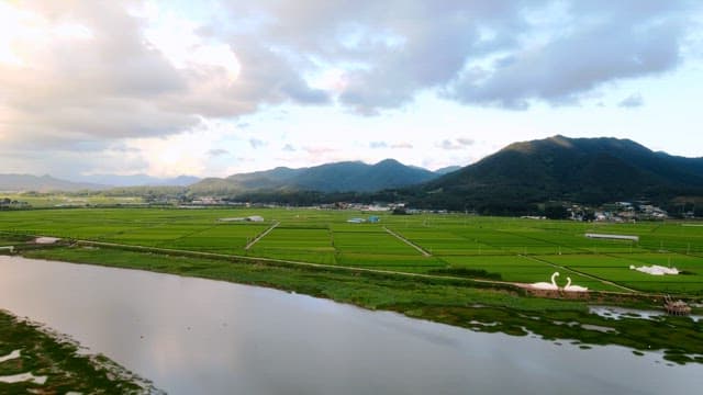 Expansive green fields with distant mountains