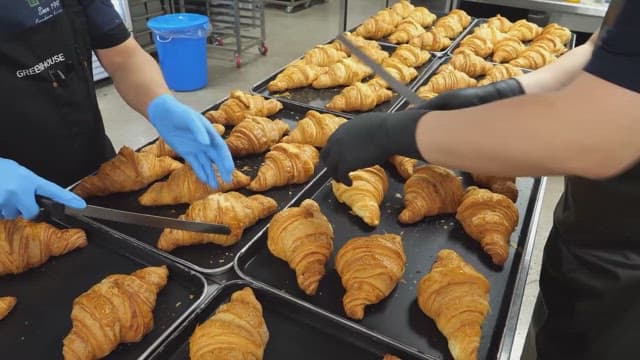 Freshly baked croissants being sliced by bakers in a busy kitchen.