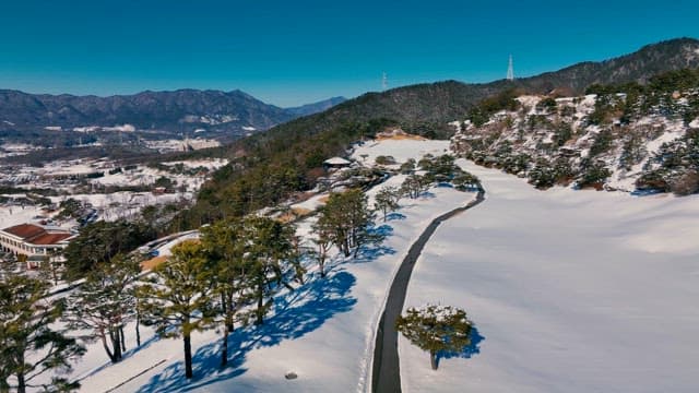 Snowy Winter Landscape with Pine Trees