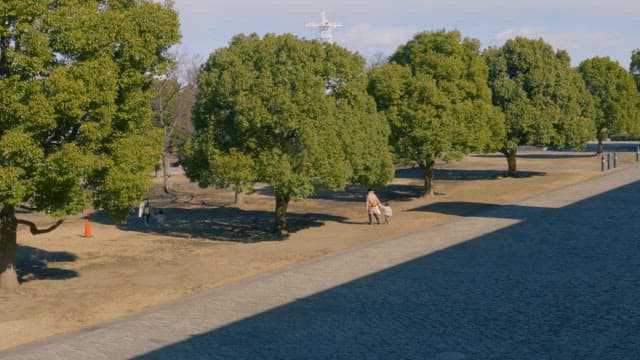Peaceful Day at the Park with People and Trees