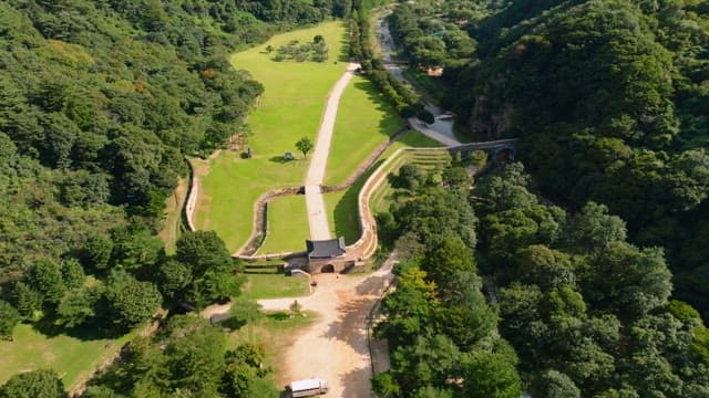 Vast landscape of green trees and forests