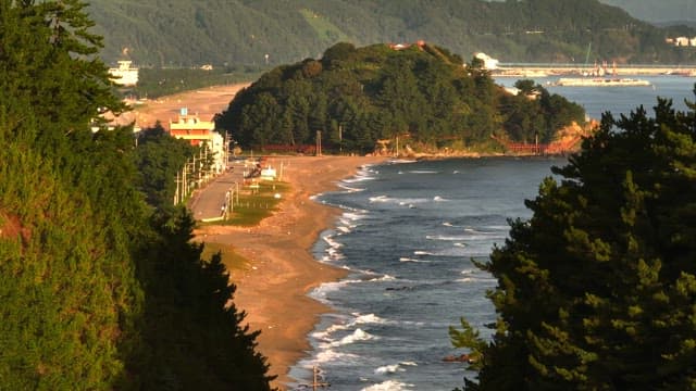 Coast seen between the trees