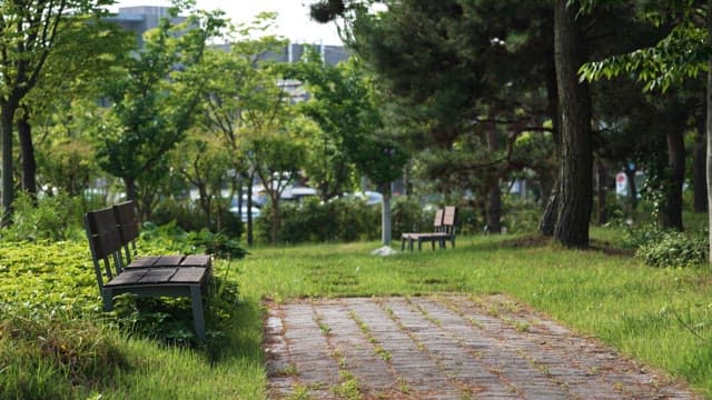 Serene park with a walking path and benches
