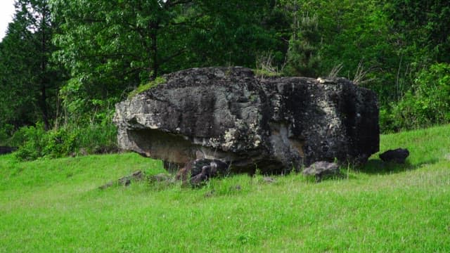 Large boulder in a green grassy field with trees