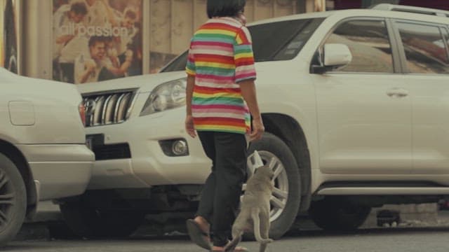 Monkey Stealing Human Food and Running away