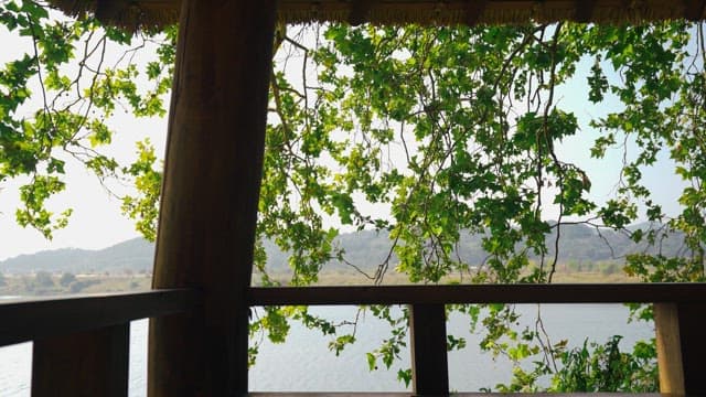 View of the river between the trees from the pavilion