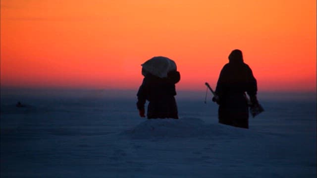 Waling Silhouettes Against a Vivid Sunset in the Snow