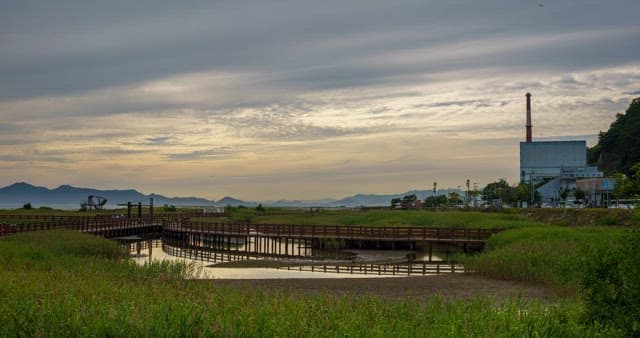 Evening view of an ecological park with wetlands and trails