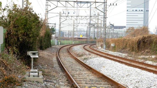 Quiet track with dry grass and branches on both sides
