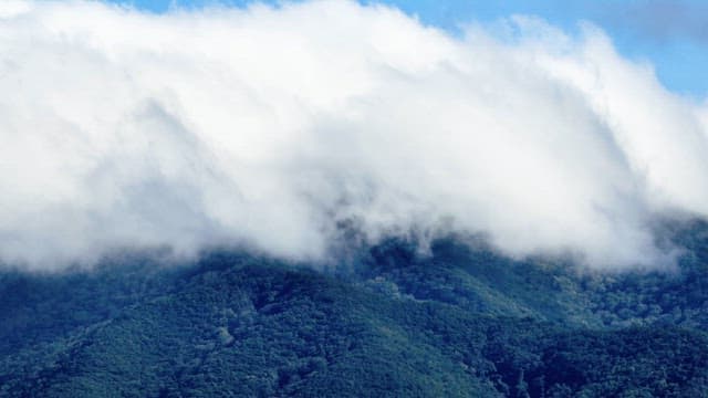 Clouds covering a lush green mountain