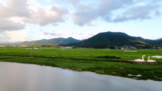 Expansive green fields with mountains
