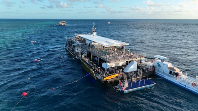 Ocean Excursion Cruise Ship with Tourists