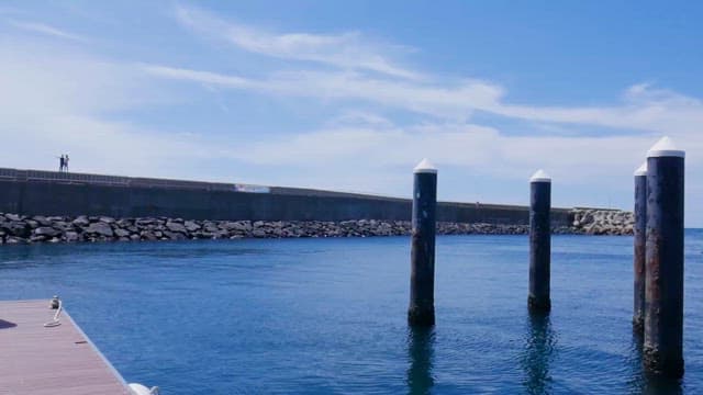 Serene Harbor Scene with Boats and Visitors