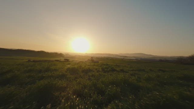 Sunset over a vast green field