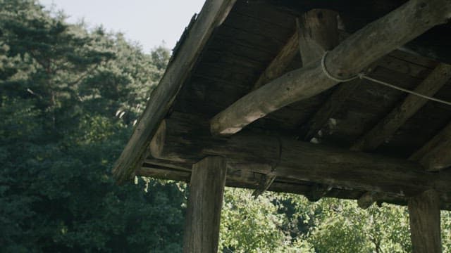 Wooden Architecture Amidst Lush Forest