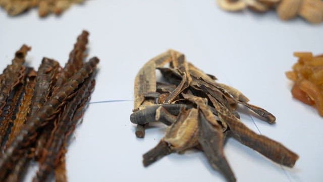 Protein-rich dried insect food