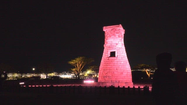 Cheomseongdae illuminated by pink light at night