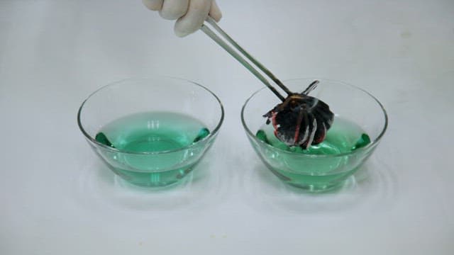 Experiments using liquid containing chemical indicators