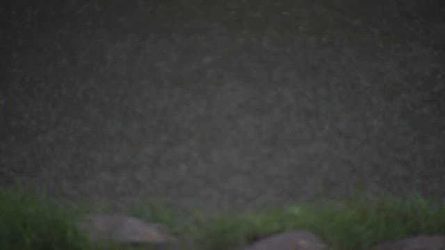 Monsoon Rain Falling on the Water