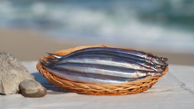 Fresh fish in a wooden basket on a sunny day