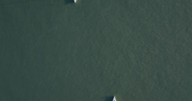 Sailboats sailing on calm waters