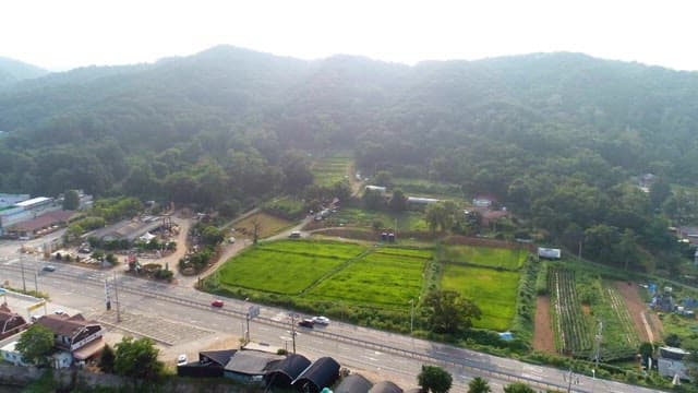 Aerial view of green forests and lush farmland