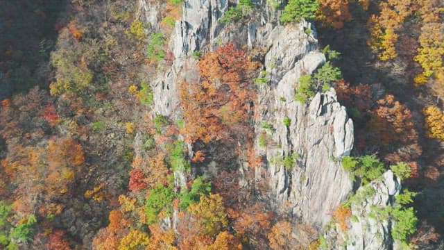 Colorful autumn foliage on rocky cliffs