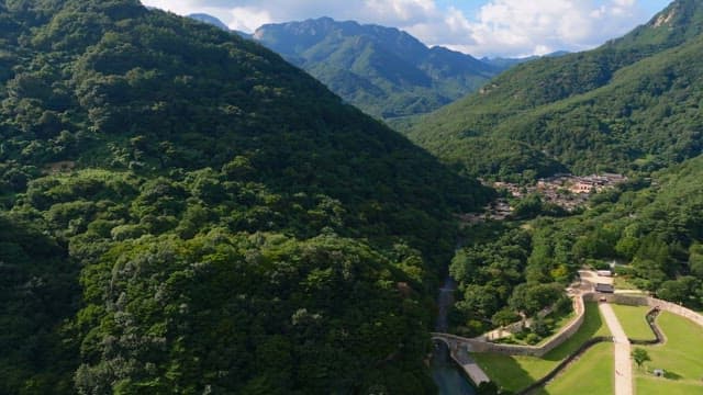 Lush green forest with distant mountains