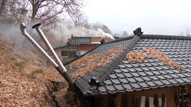 Country house with smoking chimneys