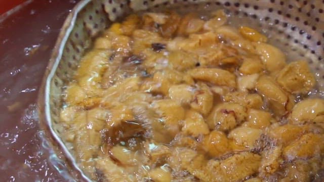 Person washing fresh sea urchin in water