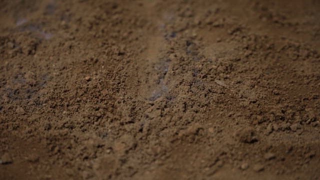 Flame rising from the ground