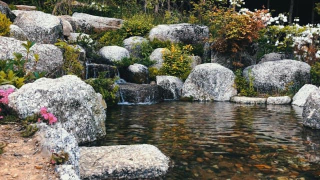 Serene pond with rocky waterfall and vibrant flowers
